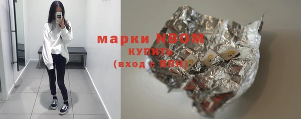 гидра Богородицк