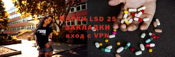 гидра Богородицк